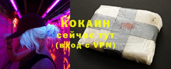 шишки Богданович