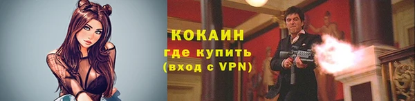 шишки Богданович