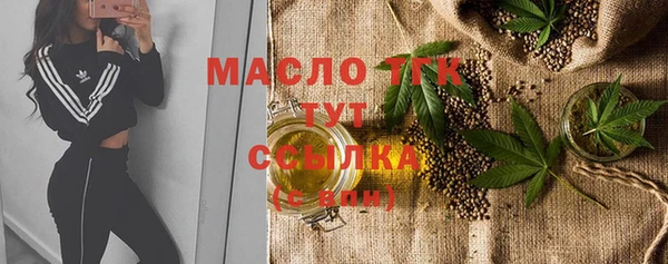 ECSTASY Богородицк