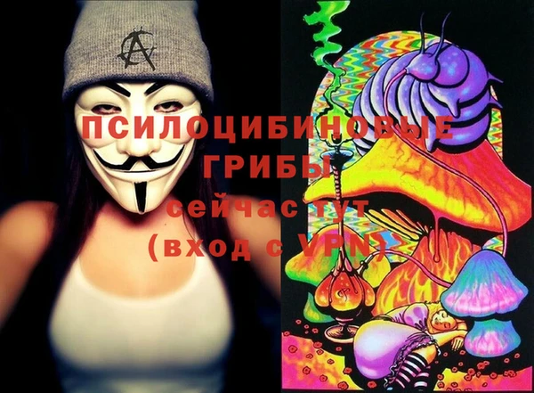 шишки Богданович