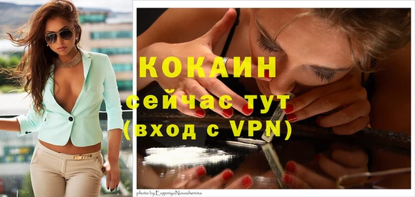 ECSTASY Богородицк