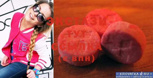 ECSTASY Богородицк