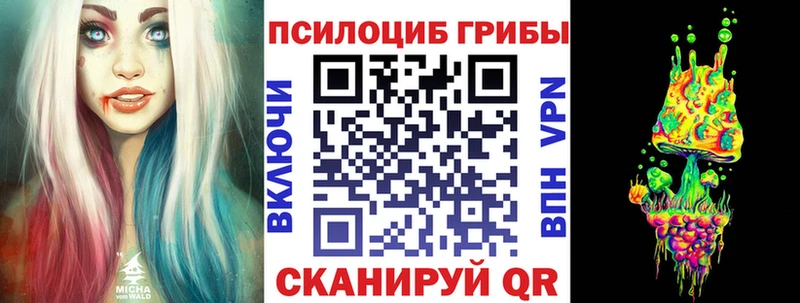 Галлюциногенные грибы мицелий  Котельнич 